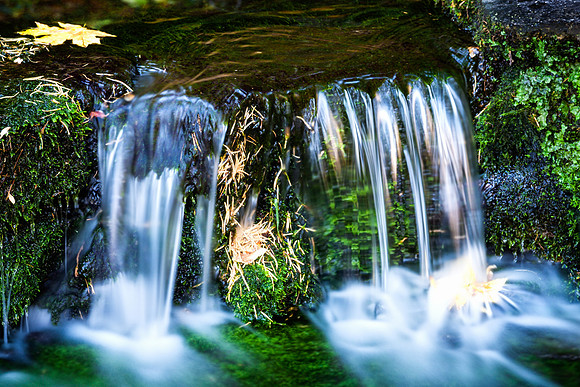 fern falls, yosemite