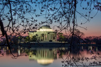 cherry blossoms at sunrise, washington dc
