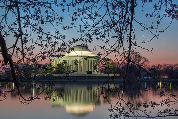 cherry blossoms at sunrise, washington dc