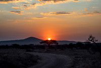 sunset, serengeti national park