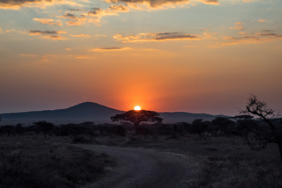 sunset, serengeti national park