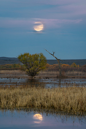 super moon, bosque del apache, nm