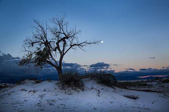 white sands, nm