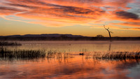 sunset at bosque del apache, nm