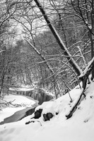 winter snow, rock creek park, dc