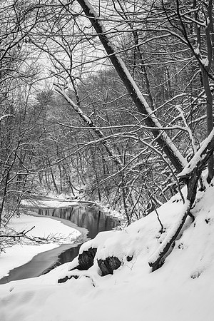 winter snow, rock creek park, dc