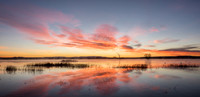 winter sunrise, bosque del apache, nm