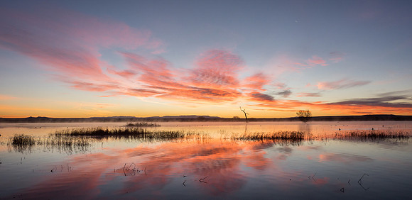 winter sunrise, bosque del apache, nm
