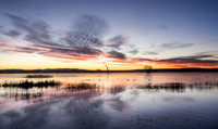 winter sunset, bosque del apache, nm