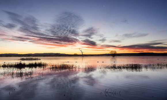 winter sunset, bosque del apache, nm