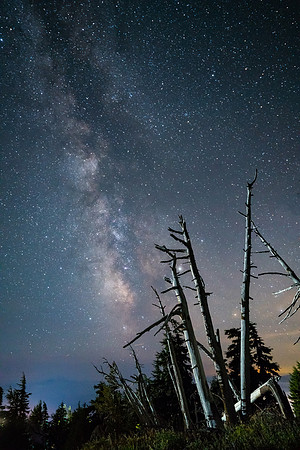 MtHood Milky Way