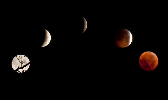 lunar eclipse 2010